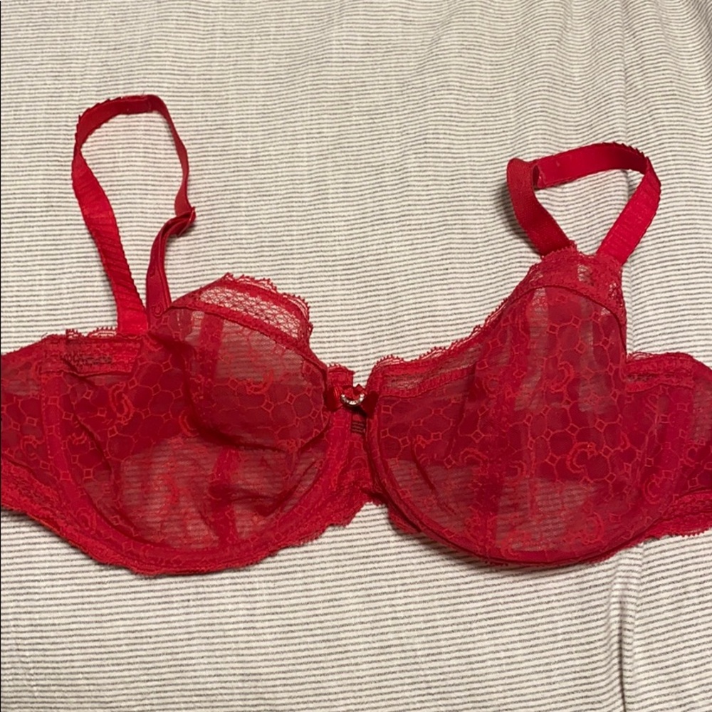Red mesh bra